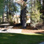 Moulton-Wetlands-001