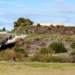 Moulton-Wetlands-006