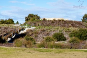 Moulton-Wetlands-006