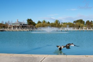 Moulton-Wetlands-008