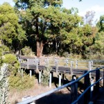 Moulton-Wetlands-017