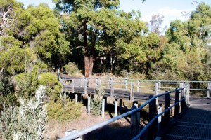 Moulton-Wetlands-017